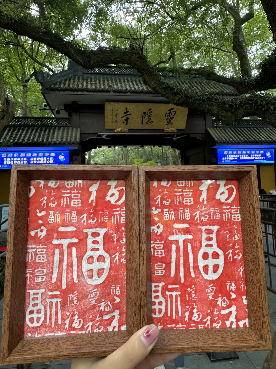 来灵隐寺，记得领这个。。。。。。