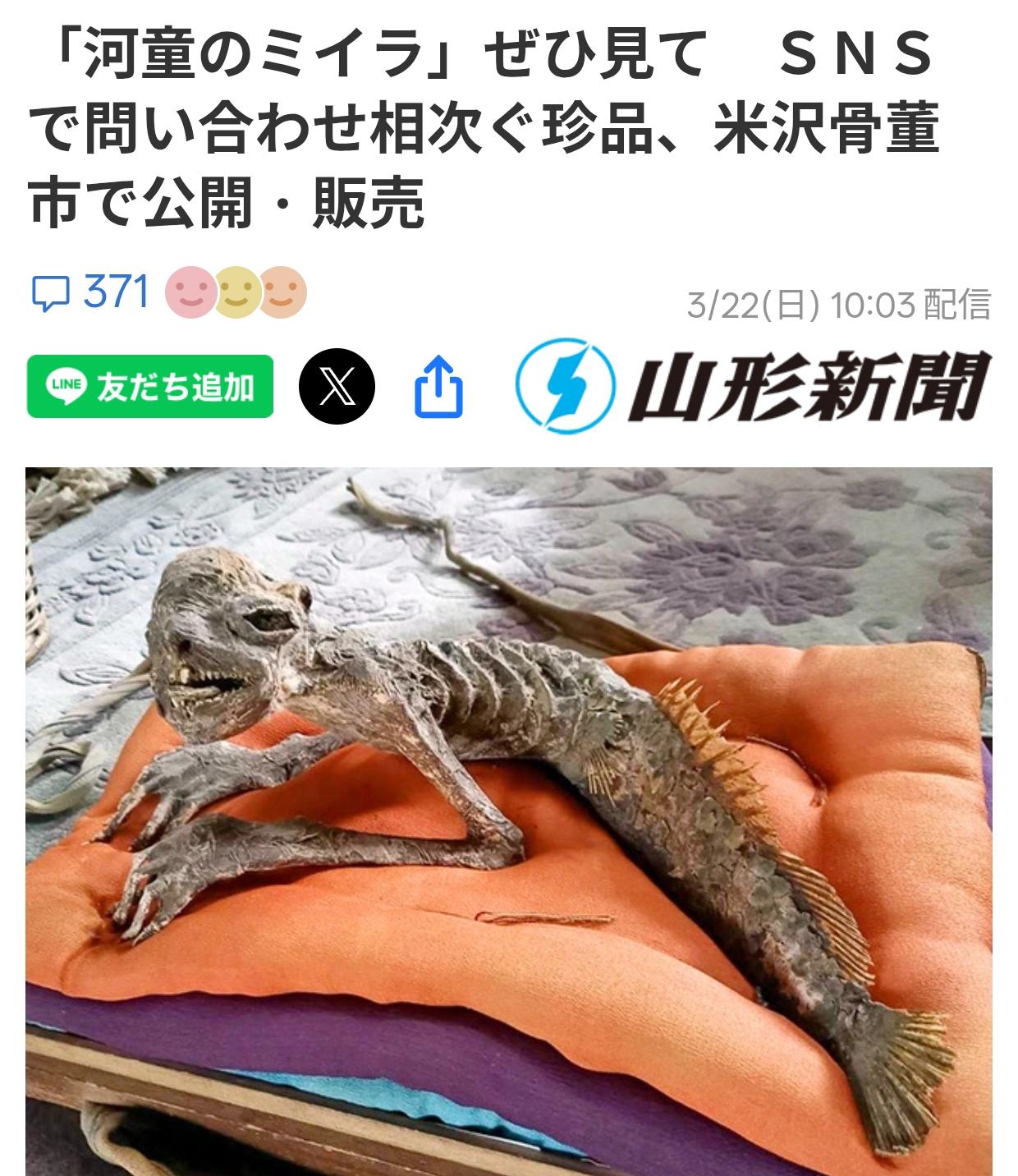 日本米泽市将展出河童的木乃伊
将于28日和29日在山形县米泽市的米泽市民画廊举办