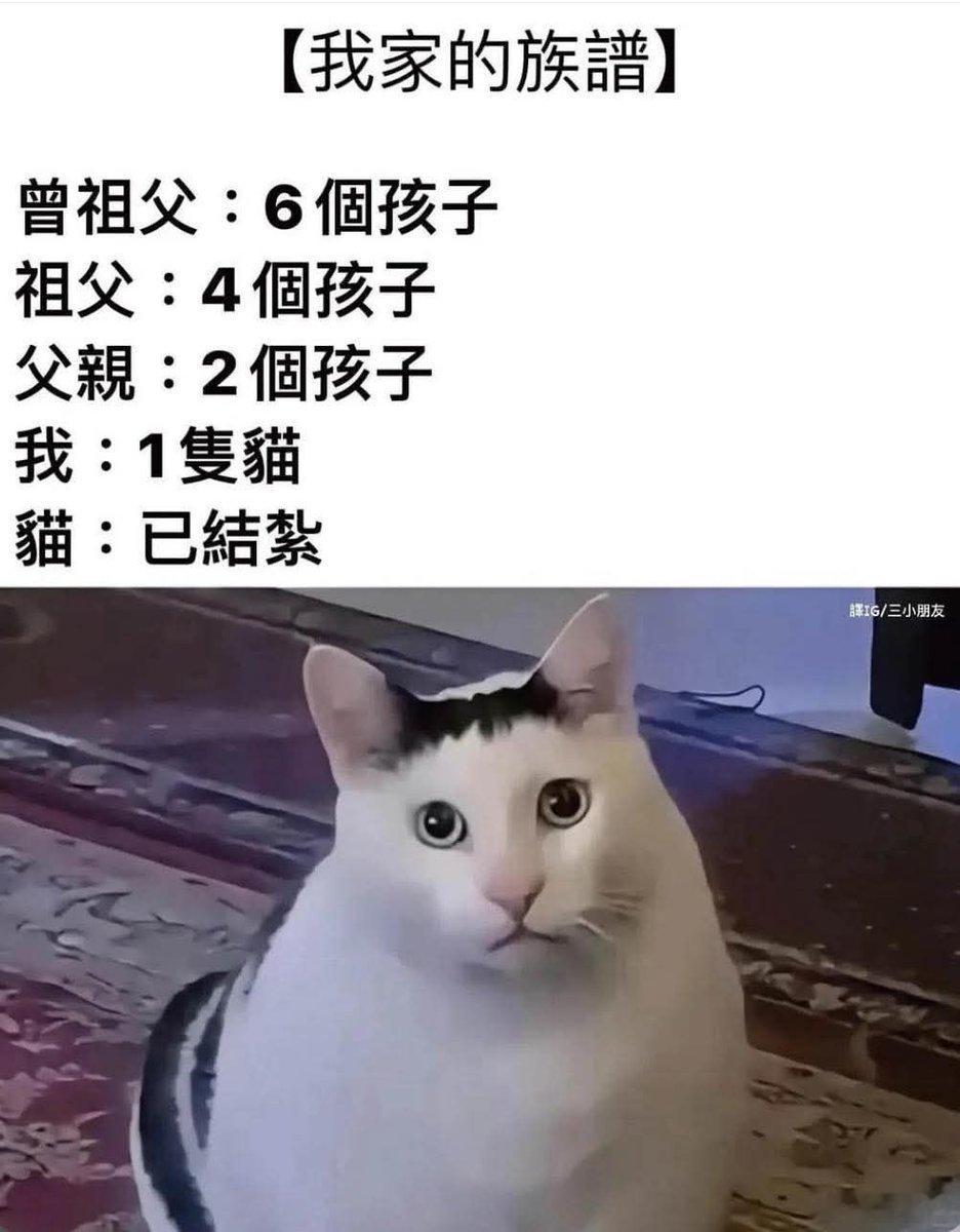 [围观][围观][围观] ​​​