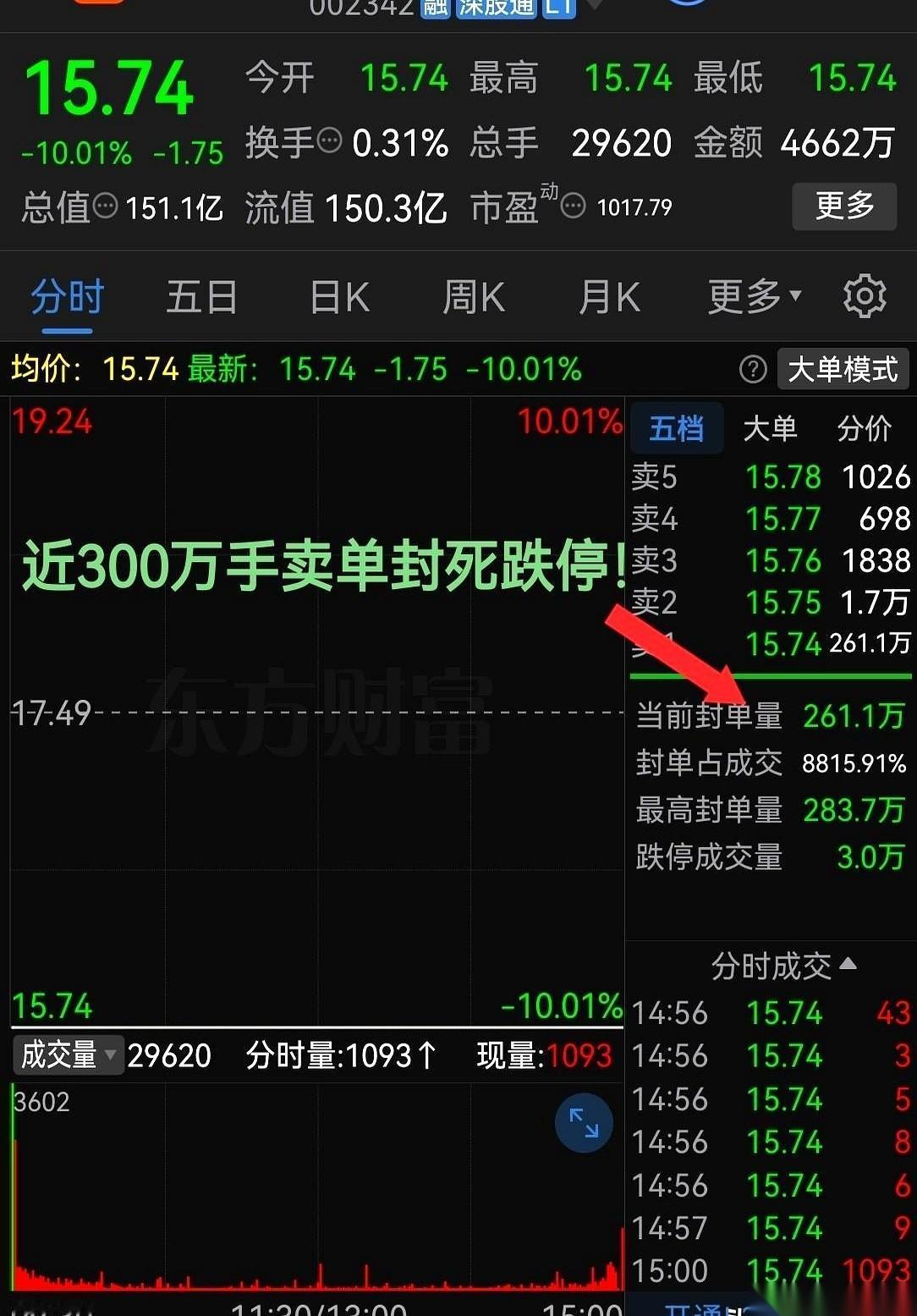 又是一个一字跌停。
开盘的瞬间，那根绿线就像被人拿尺子画上去的，笔直，干脆，一头