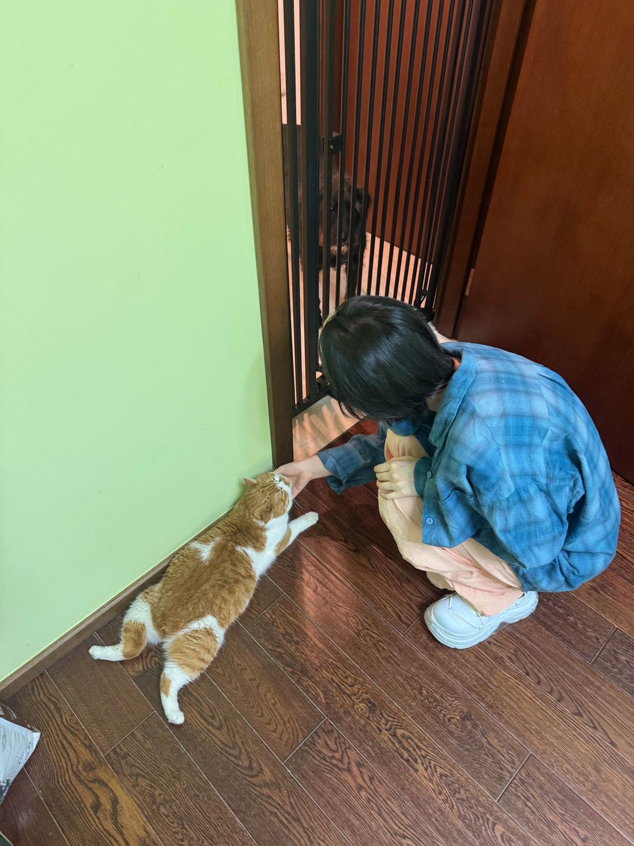 小姐姐来撸板鸭，超乖的