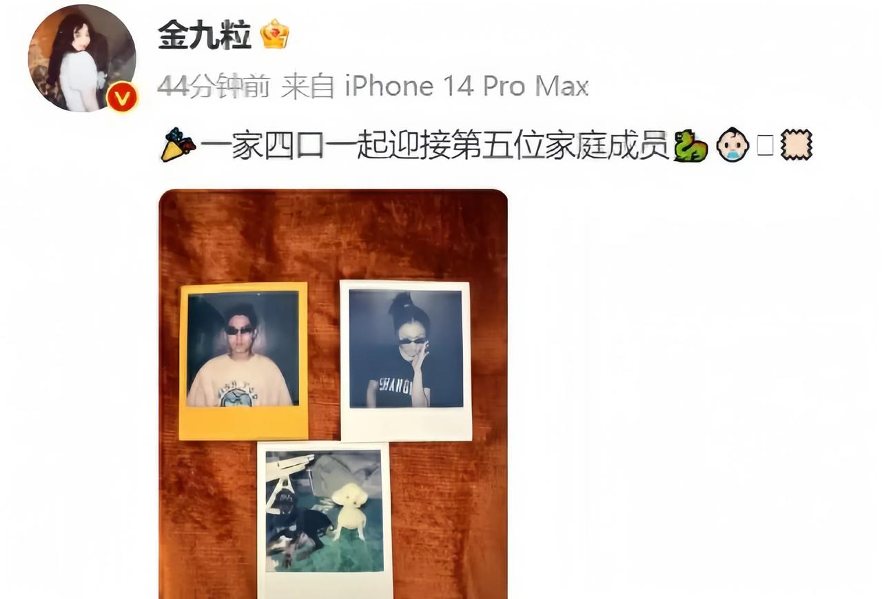 恭喜金靖官宣怀孕啦！她与动画导演舒奕橙即将迎来他们的小家庭新成员，真是让人期待啊