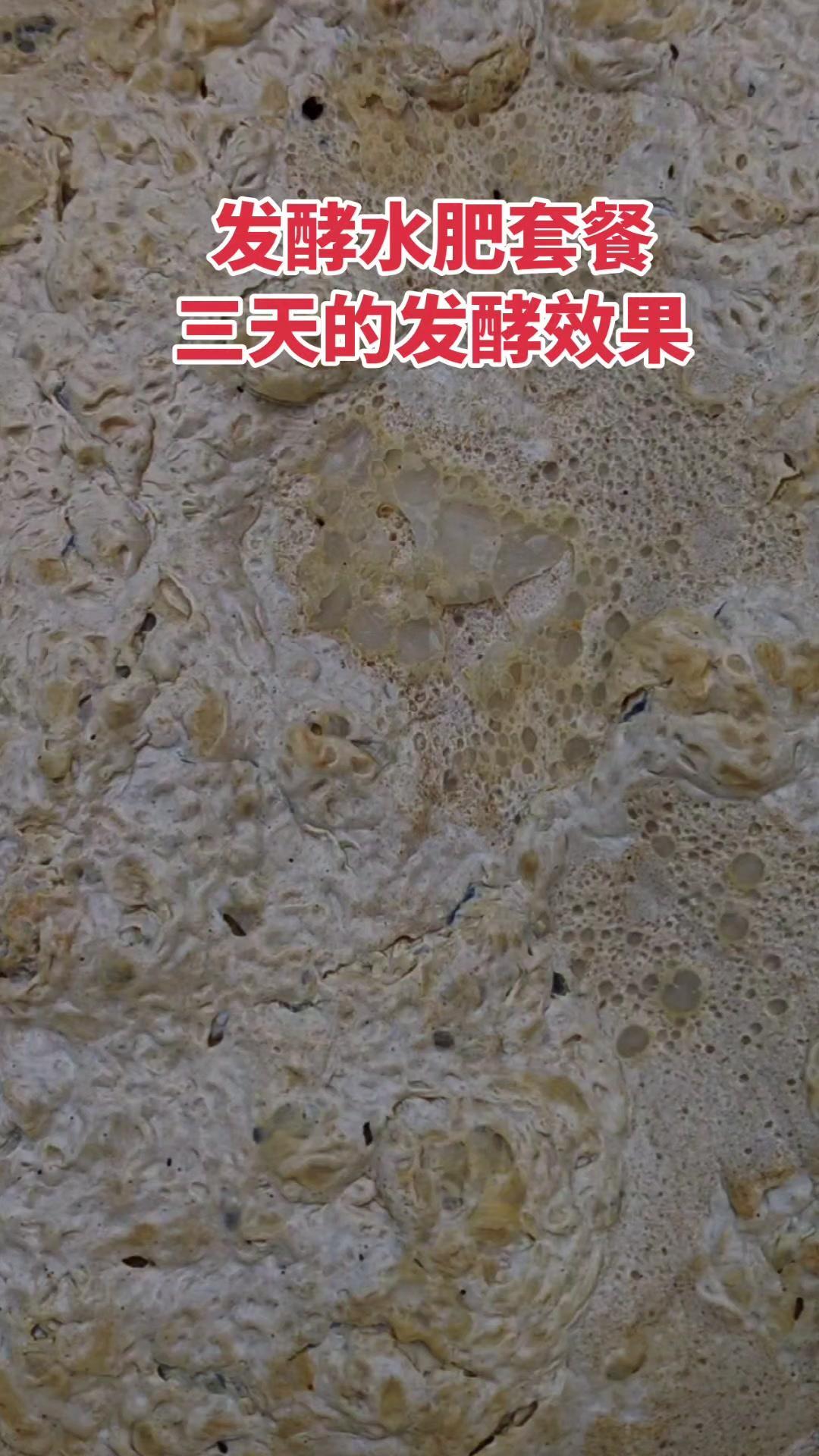 1️⃣微生物生态：让土壤里的有益菌“活”起来，抑制有害菌，构建健康的土壤微生态系