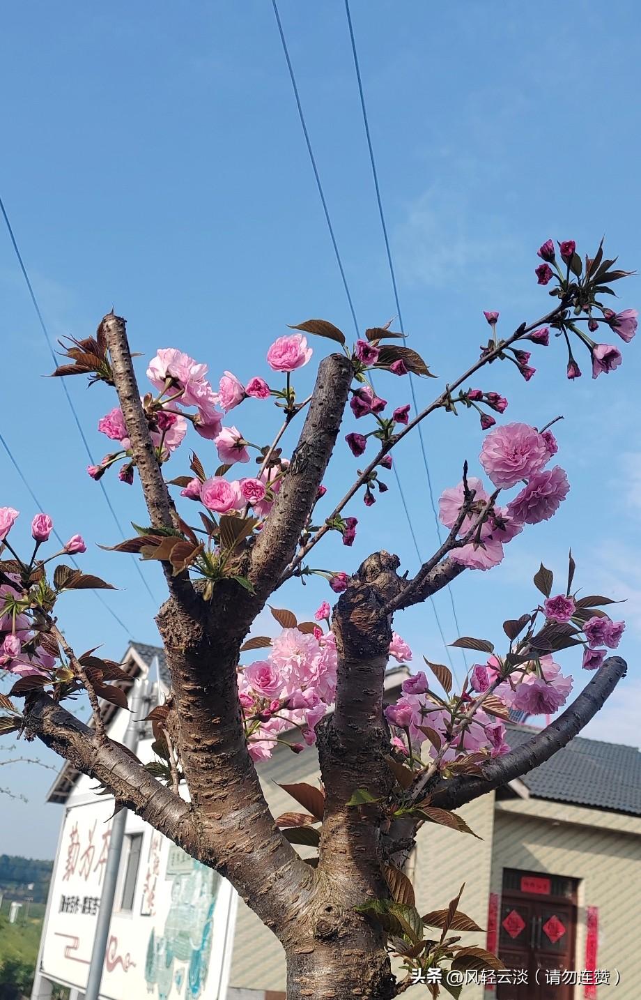 人这一生，最贵不过好心情
 
不纠结过往，不焦虑未来，
不和别人比，只和自己和解