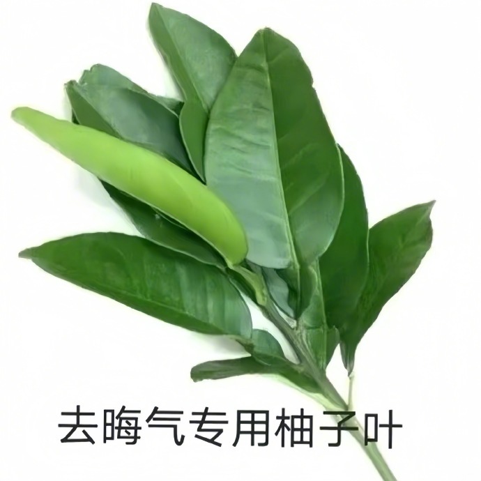 晦气走开 好运快来 !! 