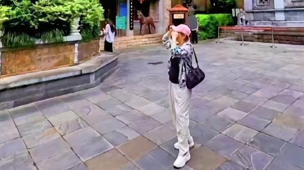 柴桑遭围攻

有人说，
之前柴桑总说围点打援，
难不成提醒了对方，
不然他们怎么