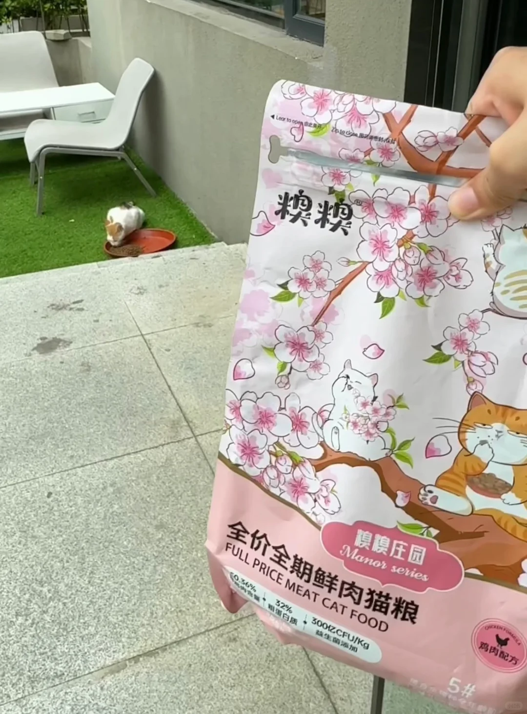小流浪开席啦～