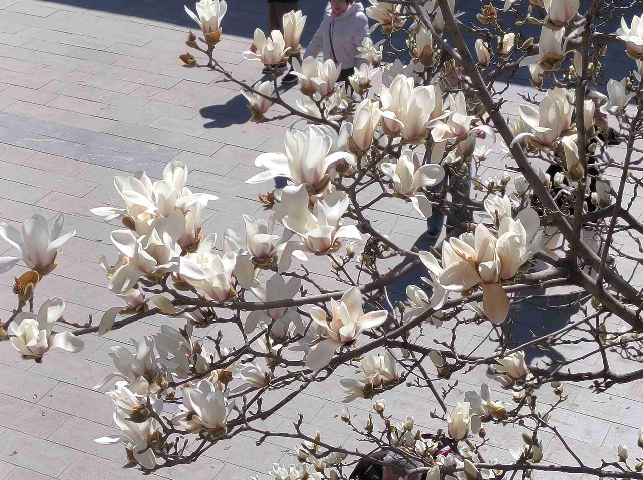 我的今日状态：🏃‍➡️运动
我这里的天气：☀️晴天