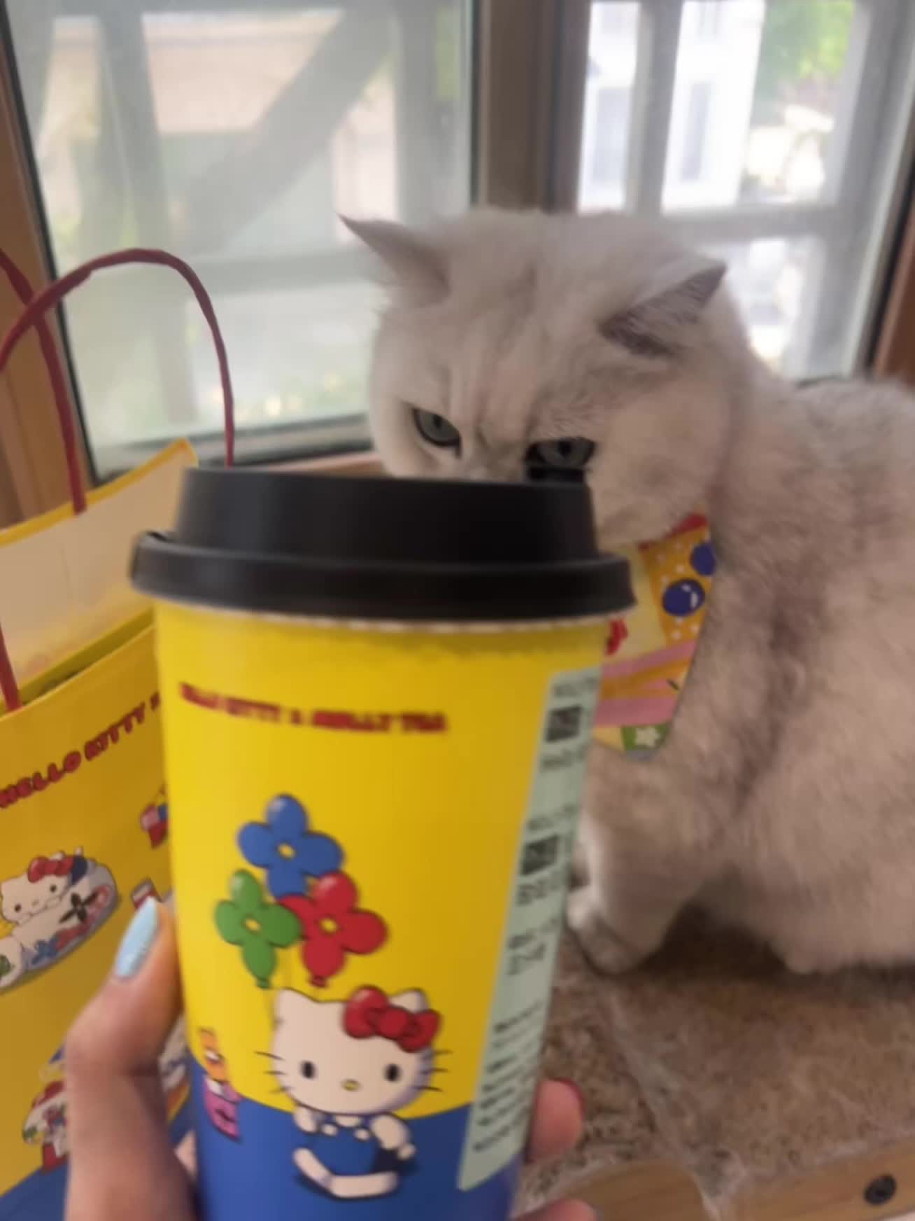 不想拍你的大股 可以离开桌子吗这位男猫