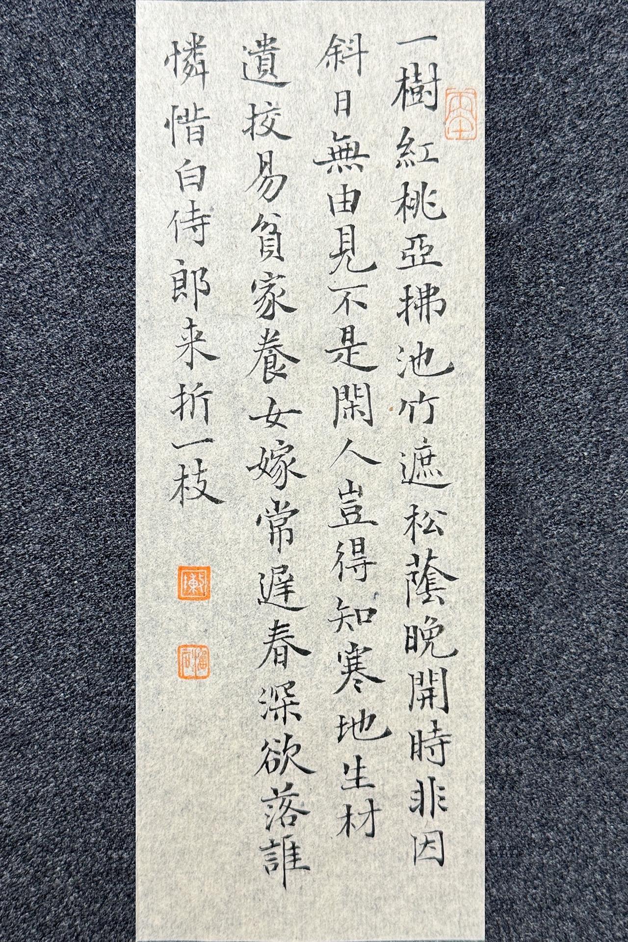 今夕社小楷，白居易《晚桃花》静态版

笔：墨社今夕晚晴 | 纸：墨社今夕浅仿古毛