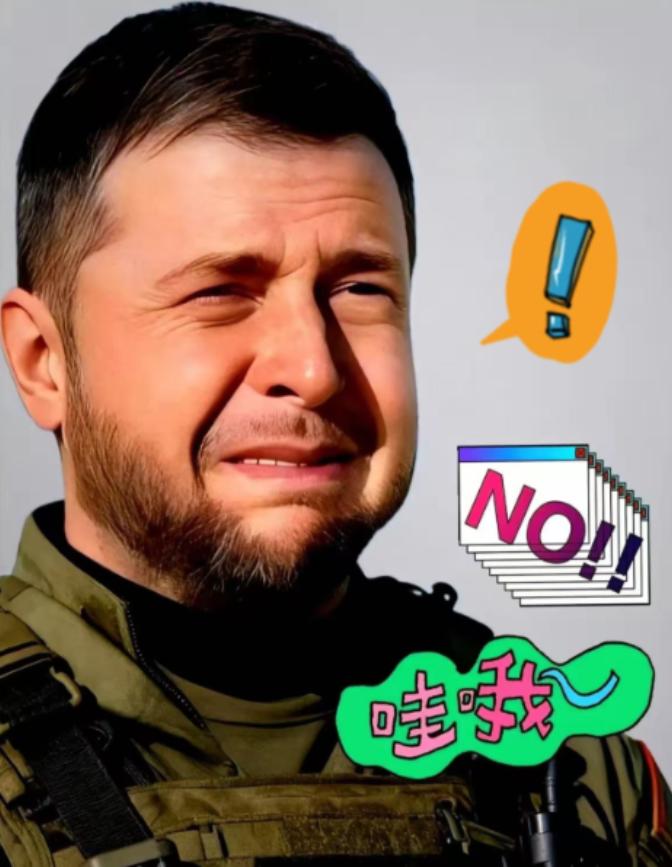 果不其然！乌克兰总统泽连斯基宣布了！
2026年1月7日，乌克兰总统泽连斯基在访