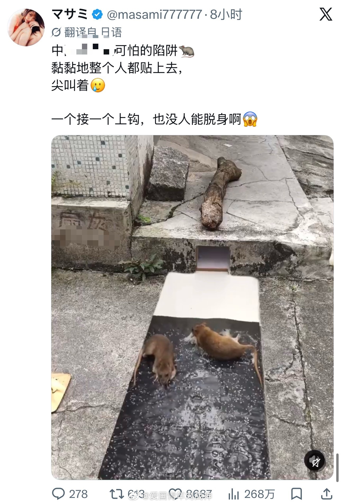 日本人这装什么啊……怎么连老鼠都同情上了，该不会沾到她同类了？[思考]海外新鲜事