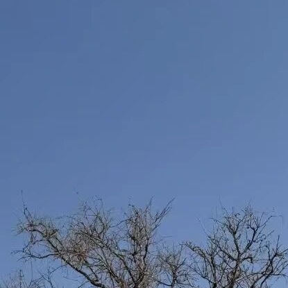 互评  愿你执迷不悟时少受点伤愿你幡然醒悟时物是人是日常碎片plog