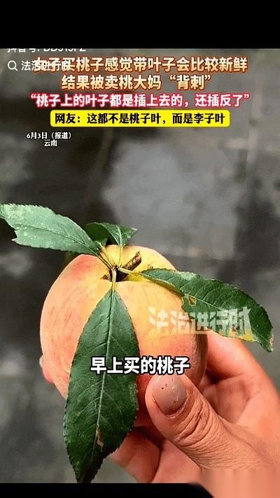 云南街头，一个卖桃的大妈拦住了我的去路。
她面前的箩筐里，每个桃子都顶着一片翠绿