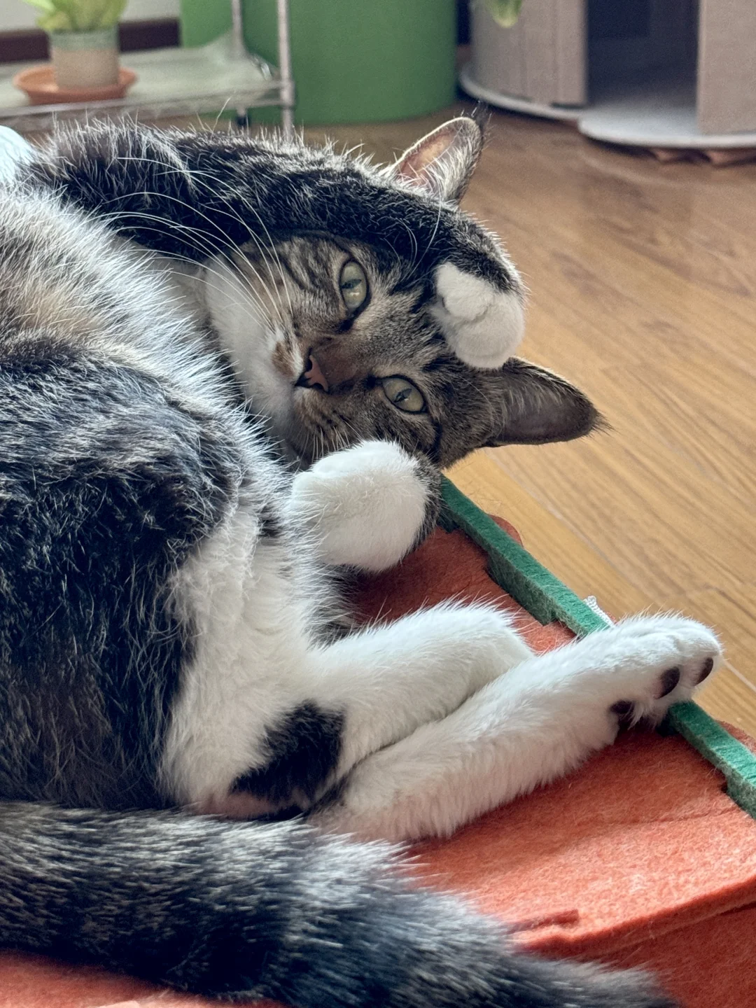 每天都有奇奇怪怪的造型