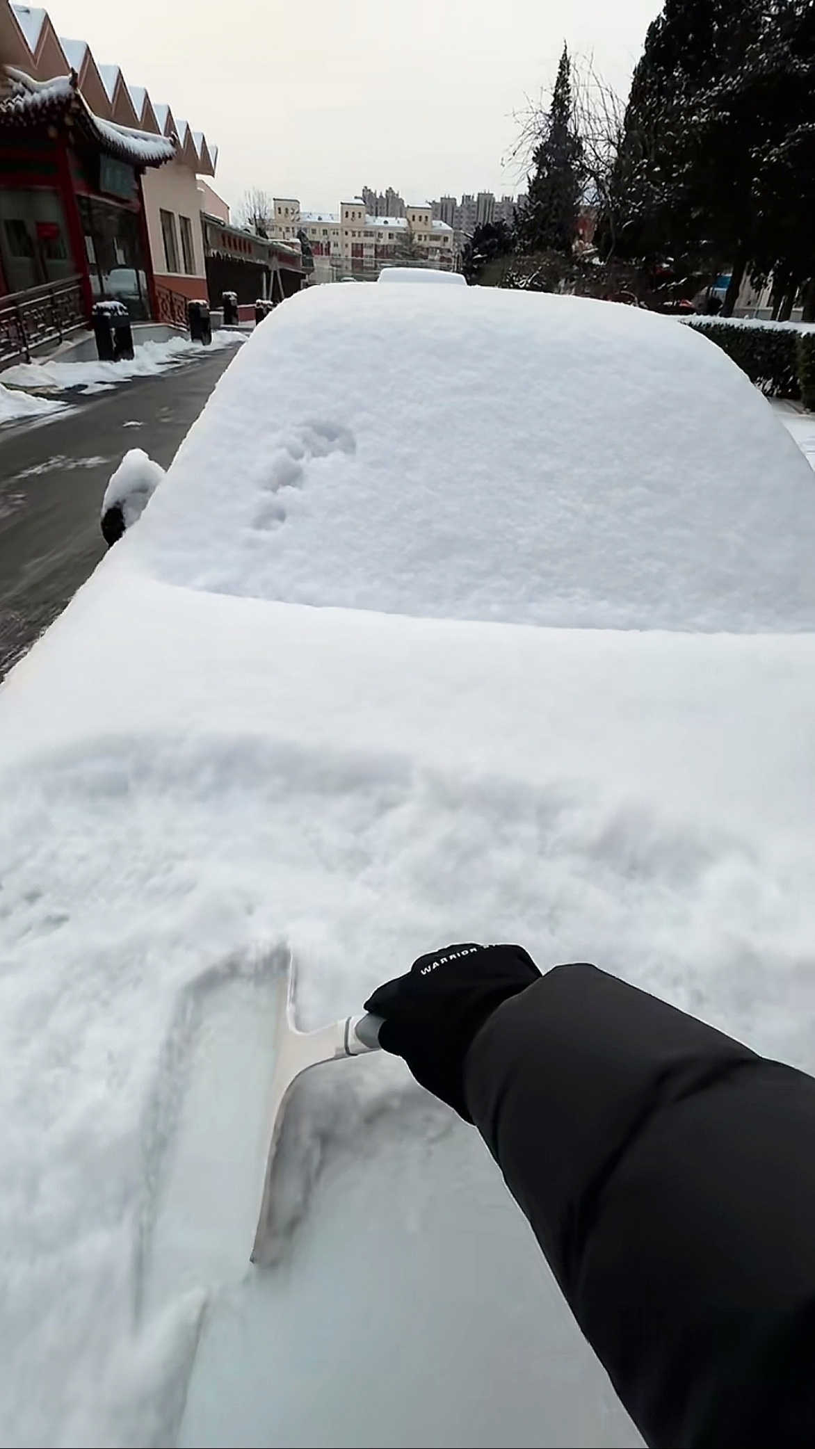 下雪后清理车，一定要先刮车牌，否则气出病来可不是闹着玩的。不过好在现在的汽车，绝