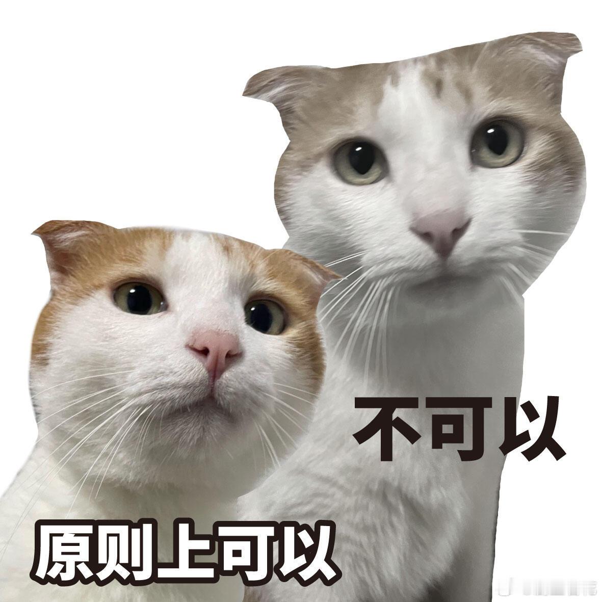 语言的艺术我大学特学🌟学会高情商表达太香了！不生硬不得罪人，轻松应对各种灵魂拷