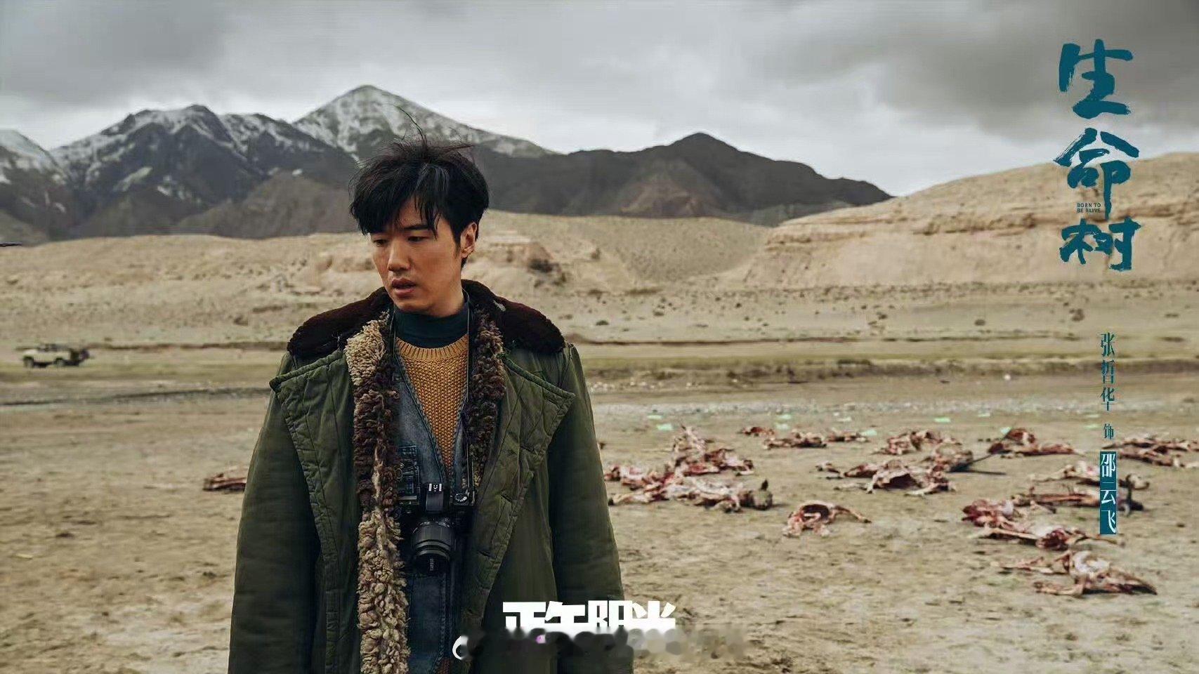 张哲华生命树细节控电视剧生命树 张哲华对邵云飞的诠释细腻到位，从青年到中年，气质