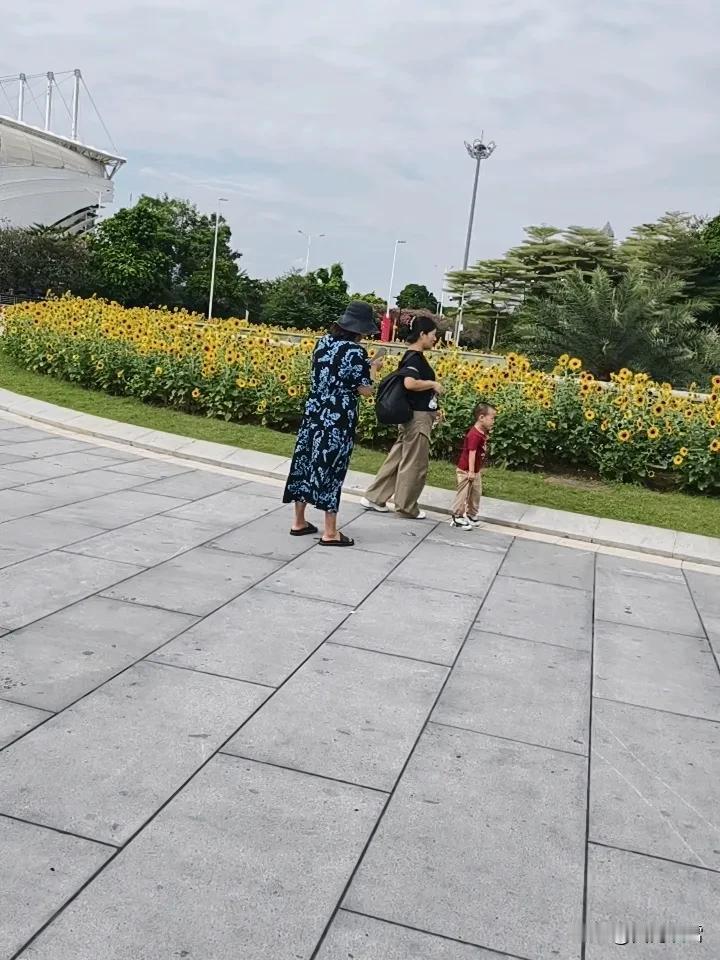 晒图笔记大赛国庆假期愉快的旅行，随手拍的照片发给各位兔子种花家看看