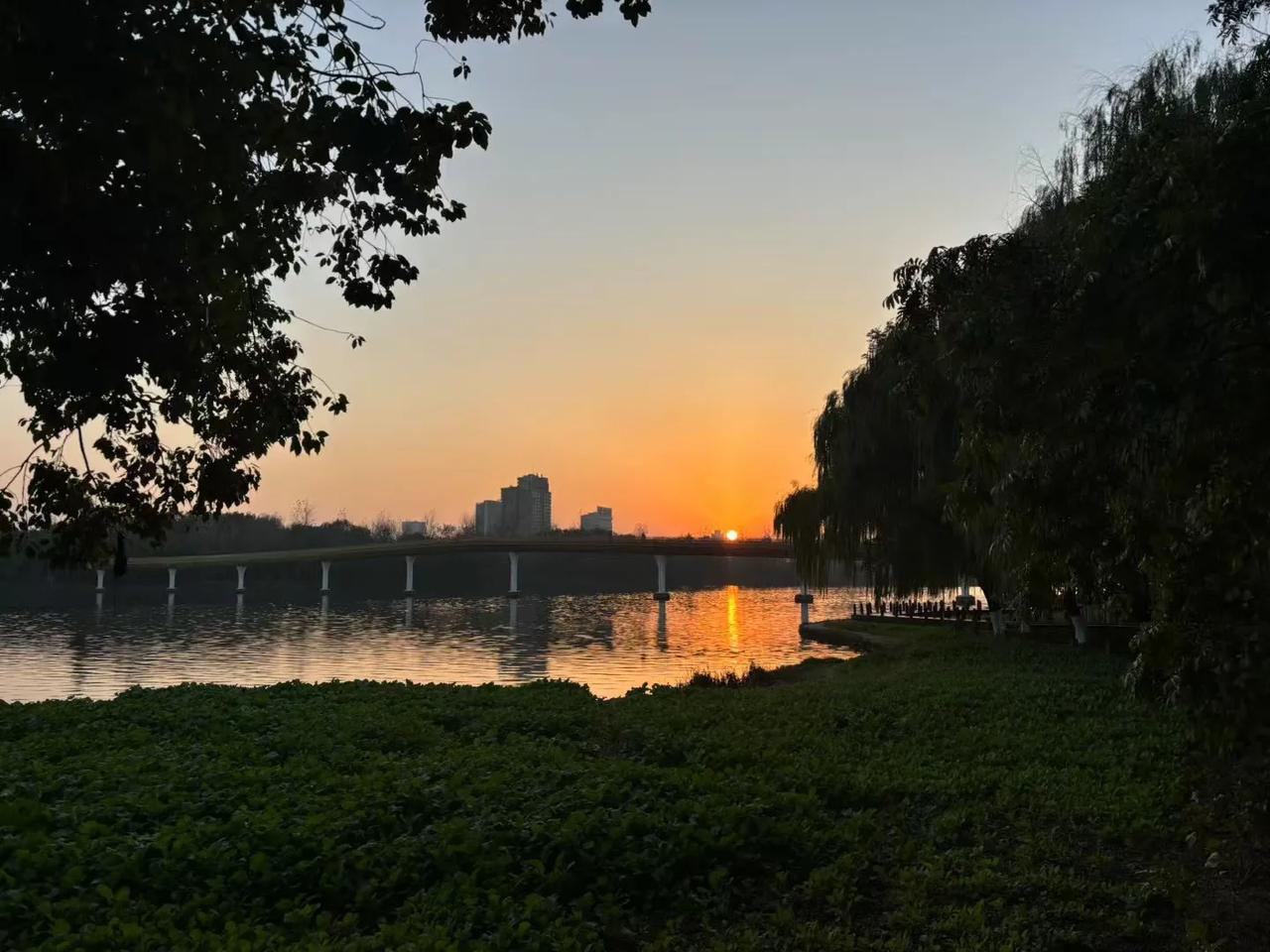 婺州公园的落日，美得让人心醉。夕阳的金色光辉洒满整个公园，给每一处景色都镀上了一
