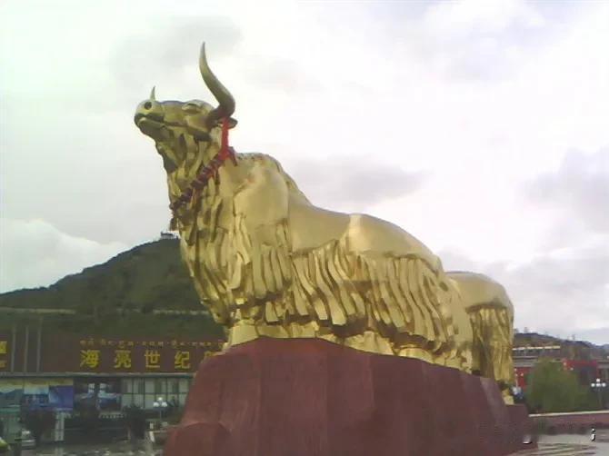 好久没有连续每天读书了，大概有数月。

原因可能是，当一个人把物质的世界当做了他