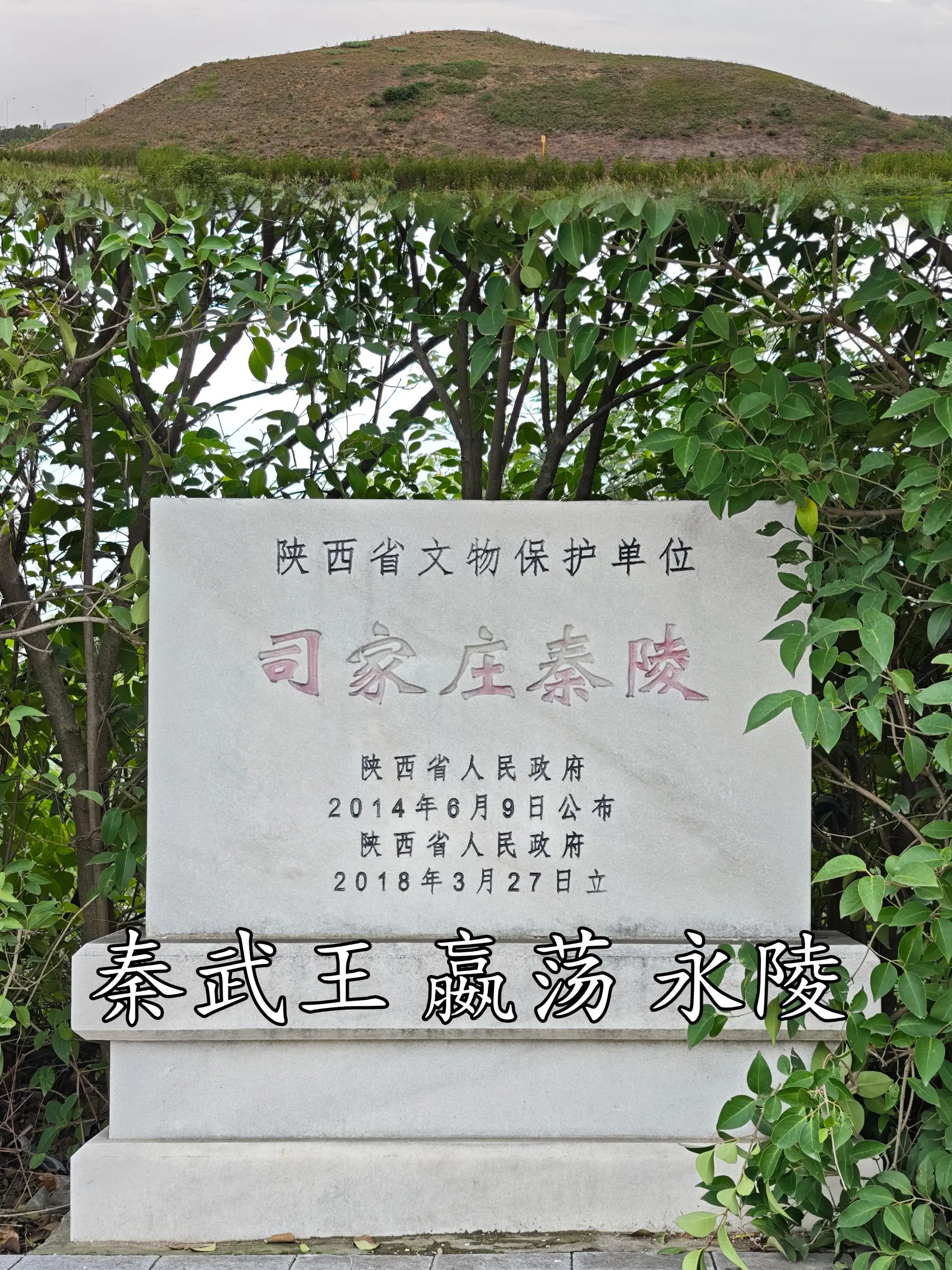 秦昭襄王嬴稷的哥哥：秦武王嬴荡永陵 秦武王（前329年—前307年）...