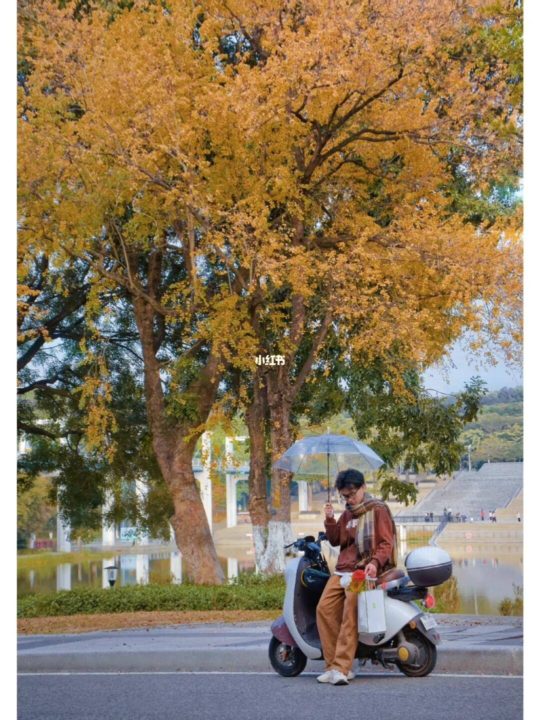 答应我‼️在东莞一定要来这个公园看秋景