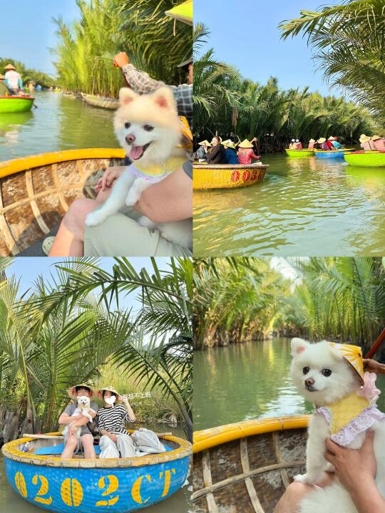 🇻🇳会安｜和小狗的椰子船体验🥥