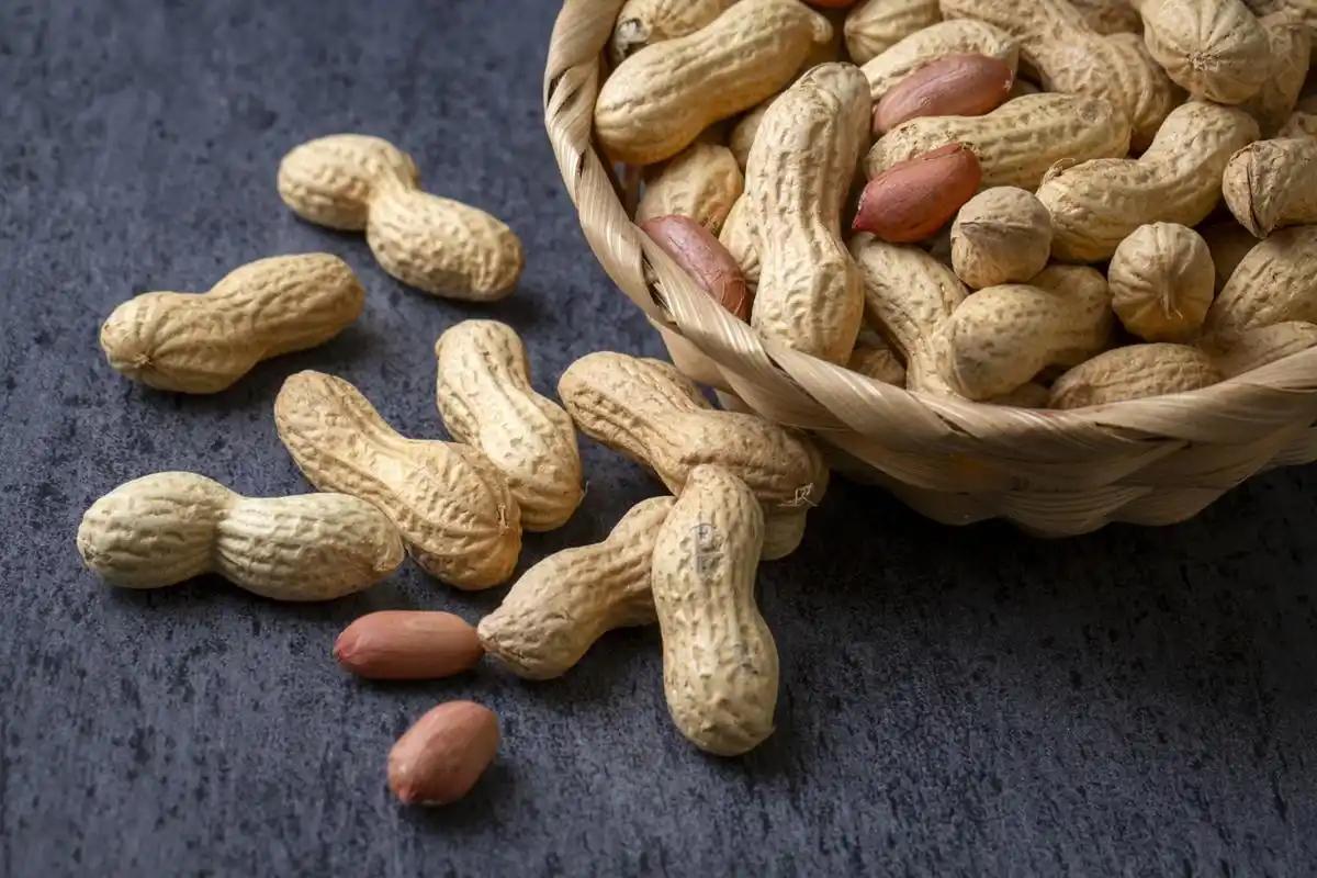 一个让人意想不到的现象是：不少高血脂患者嘴上说着怕油，手里却捧着一把花生当健康零