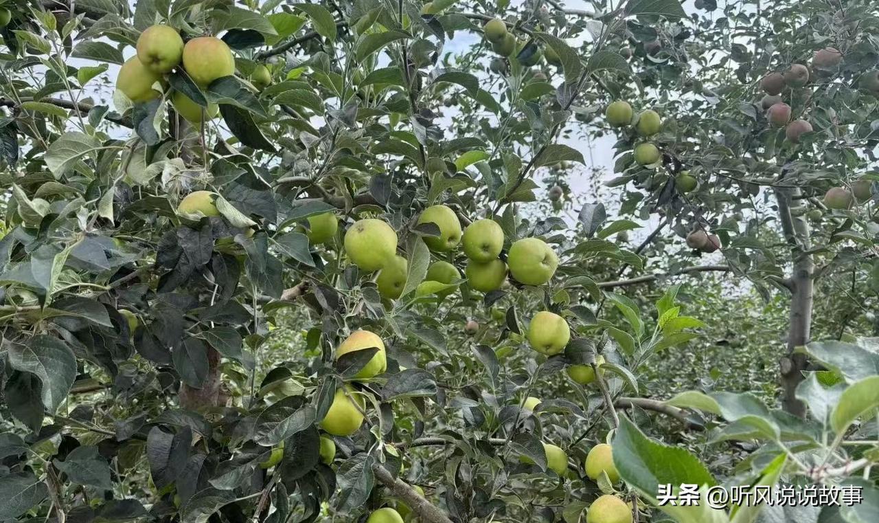 ❤️现在这个社会，太多人悄悄焦虑、默默抑郁。白天假装坚强，深夜独自崩溃，事事纠结