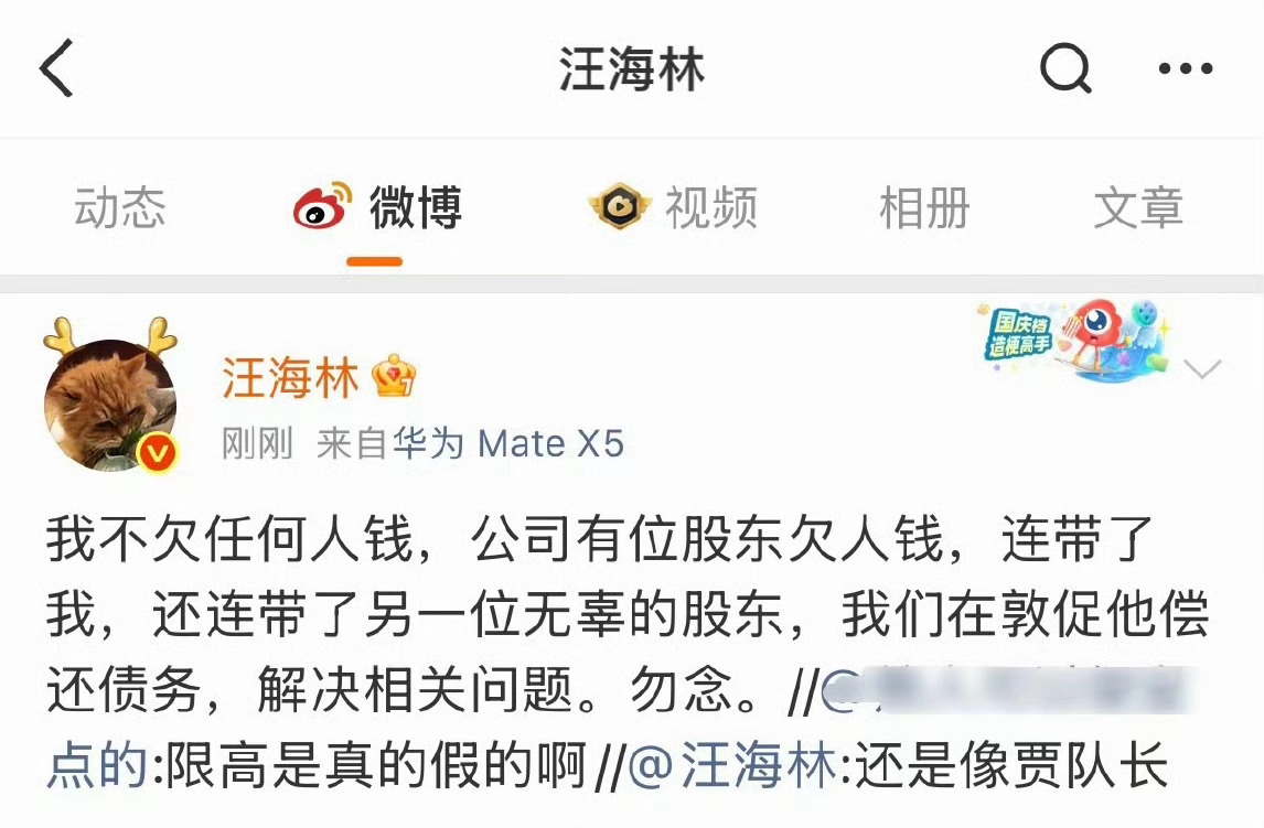 汪海林回应限高“我不欠任何人钱，公司有位股东欠人钱，连带了我”！汪海林限高 汪海