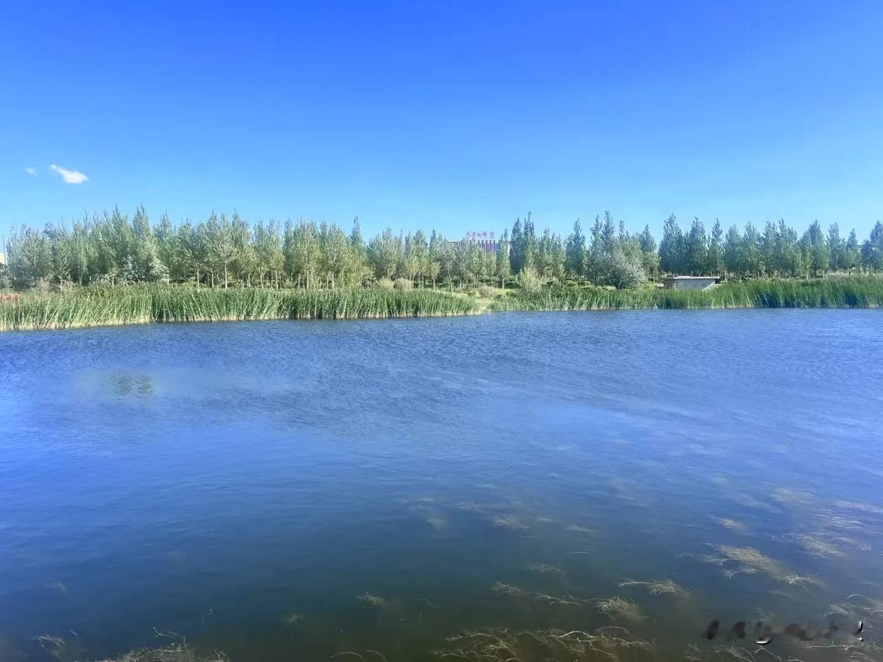 《格言联璧》有言：“闹时炼心，静时养心，坐时守心，行时验心。”这四心之中，唯“静