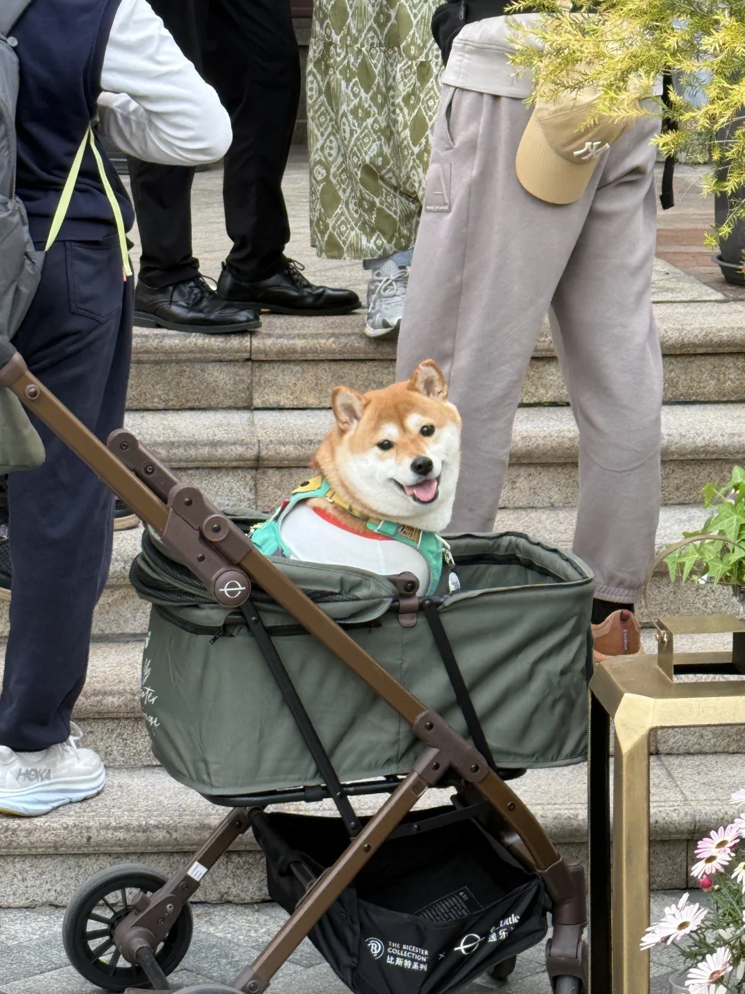 这么可爱 就是在勾引妈妈