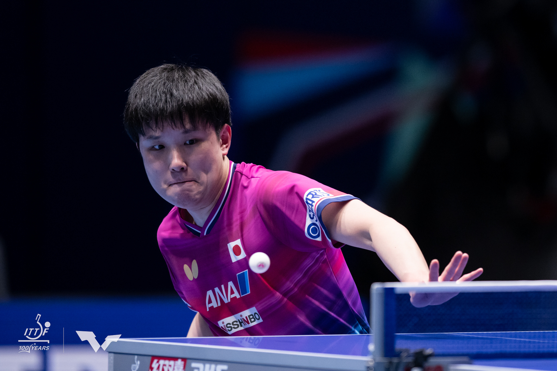张本智和张本智和2026年伦敦世乒赛 5月2日小组赛图片📷cr. ittf 