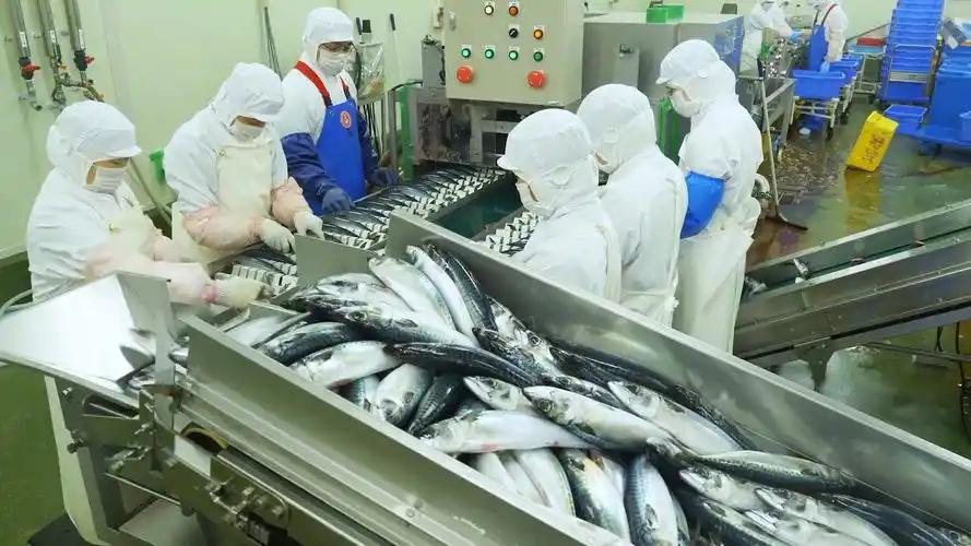 终于有人把这个离奇的真相扒了出来！整整三年了，日本核污水排个不停，可奇怪的是，他