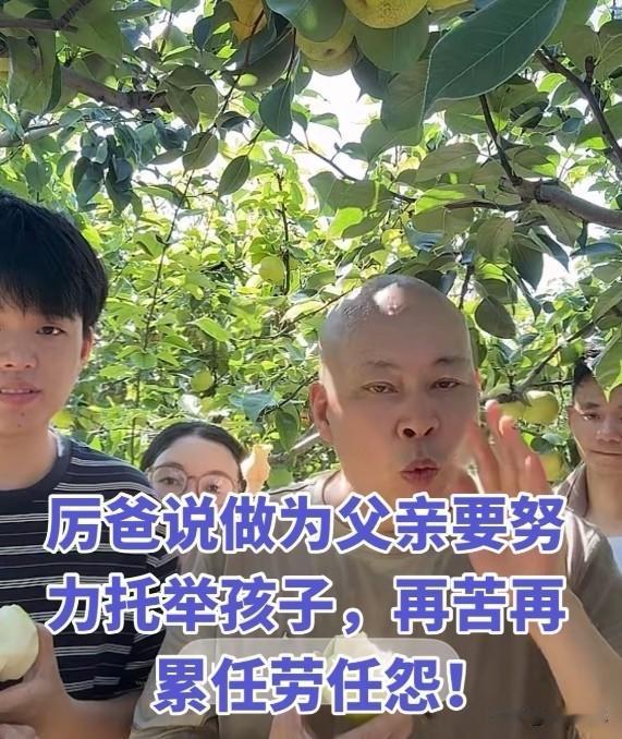 厉爸说作为父亲要努力托举孩子，再苦再累任劳任怨，他终于做到了。

厉爸在梨园里全