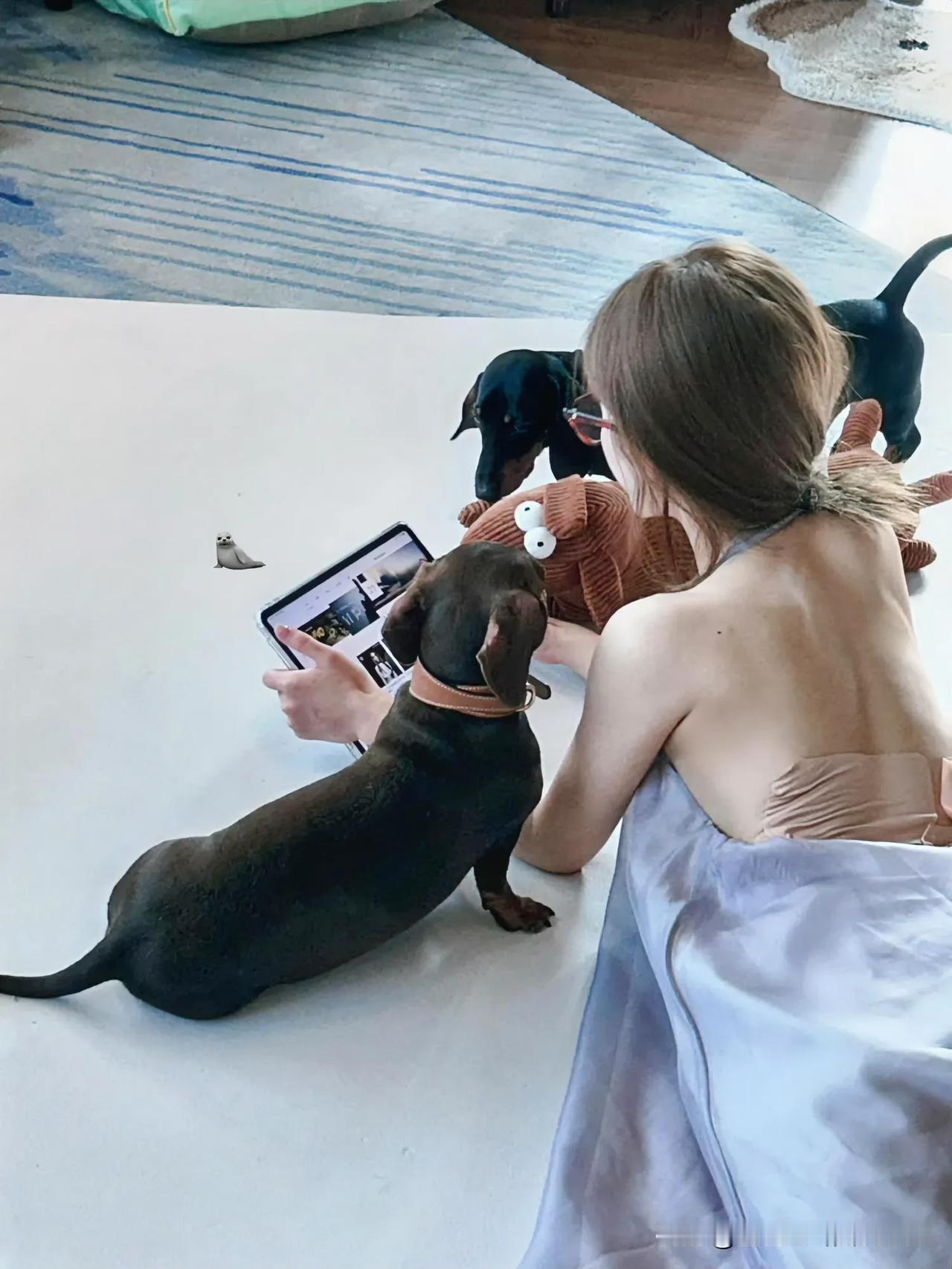 赵露思和狗狗看剧，快乐加倍”🐾📺💕