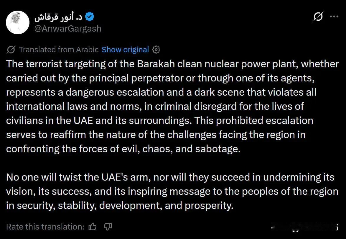 🇦🇪 阿联酋总统穆罕默德·本·扎耶德（MbZ）的顾问安瓦尔·加尔加什：

对