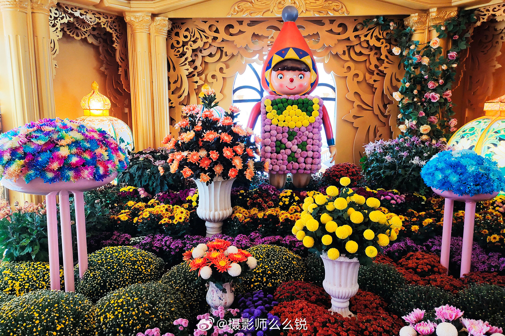 #没想到清明上河园真有七色花#你见过七彩色的菊花吗？我是没见过。这花哪里有，开封