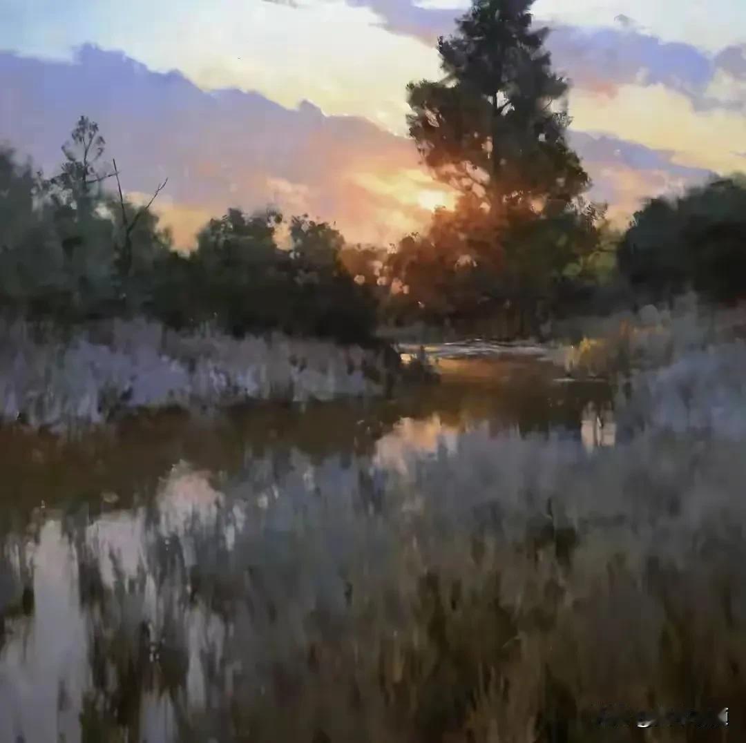 夕阳下的森林倒影，宁静而美丽。光影婆娑的林间，溪流静谧的流淌，仿佛把人带入了一个