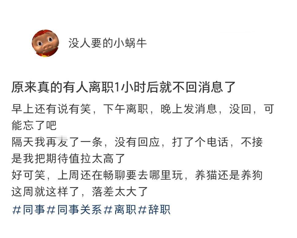 同事离职一小时后就不回消息了 