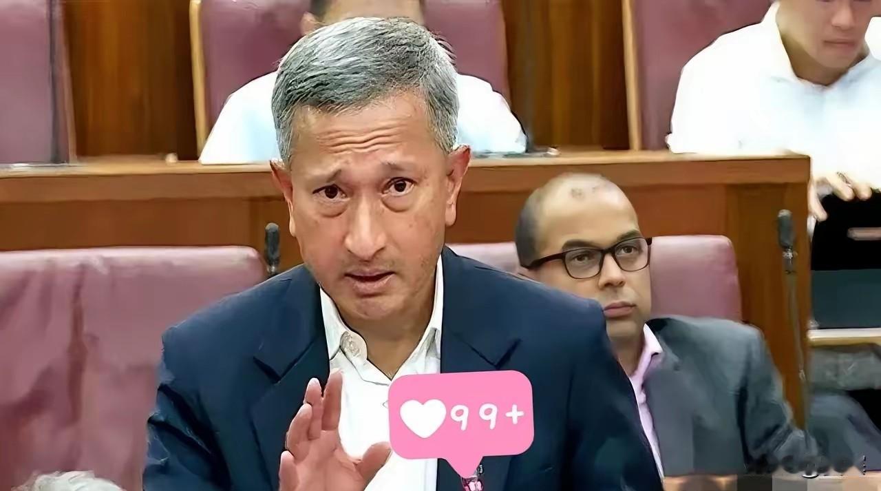 新加坡急了。
在东盟的会上，外长几乎是拍着桌子，让中国“尊重”马六甲的地位。
翻