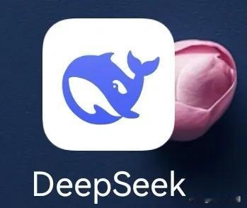 DeepSeek的核心成员赵成钢，
高中毕业于衡水中学，
荣获全国信息学竞赛银牌