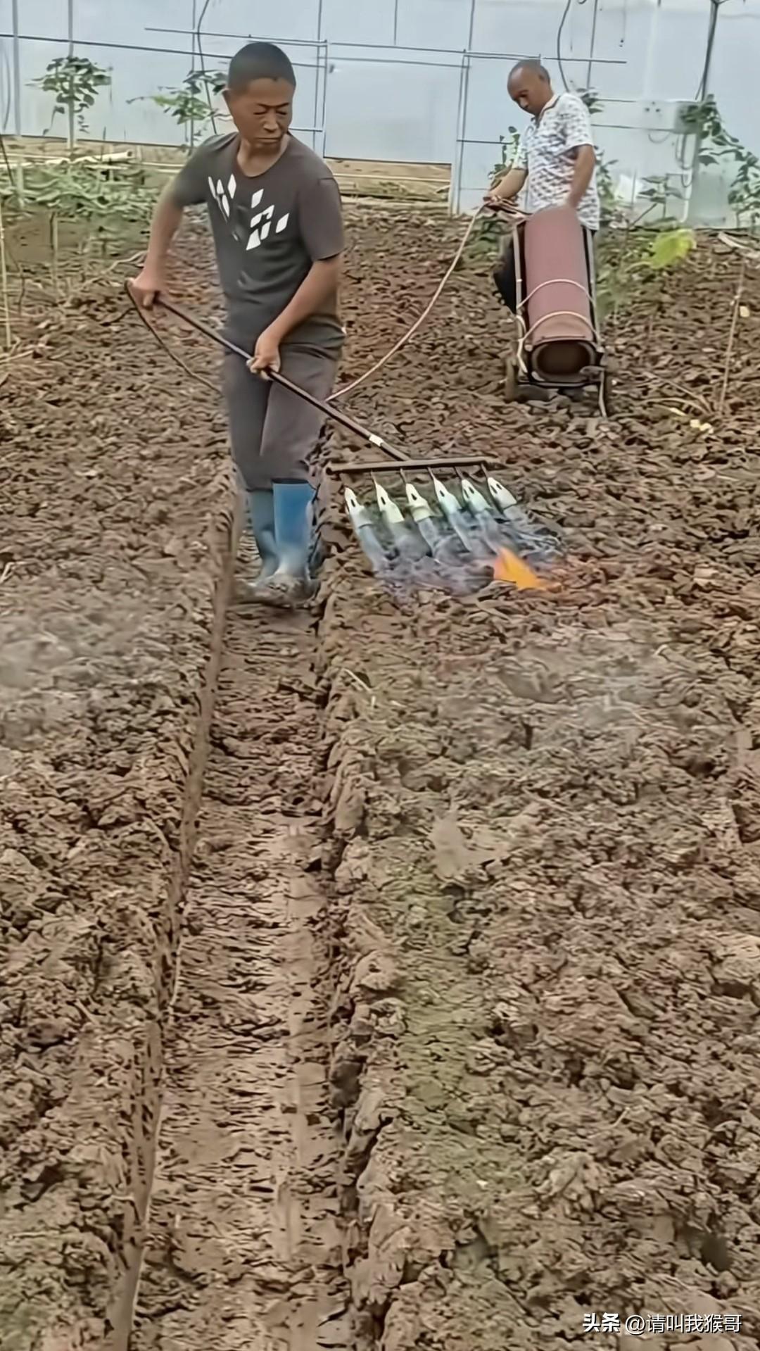 这样的除草防虫有效果吗？而且成本也太大了吧