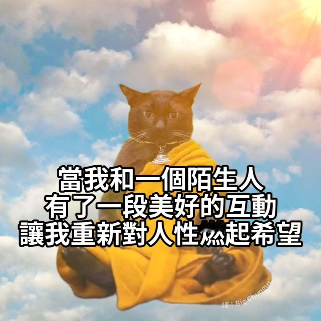 我升华了meme