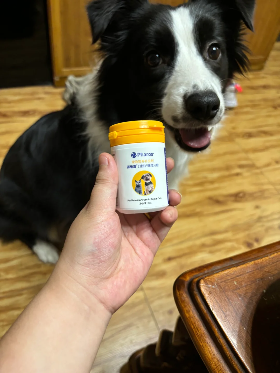 洁牙粉+牙刷 双管齐下！