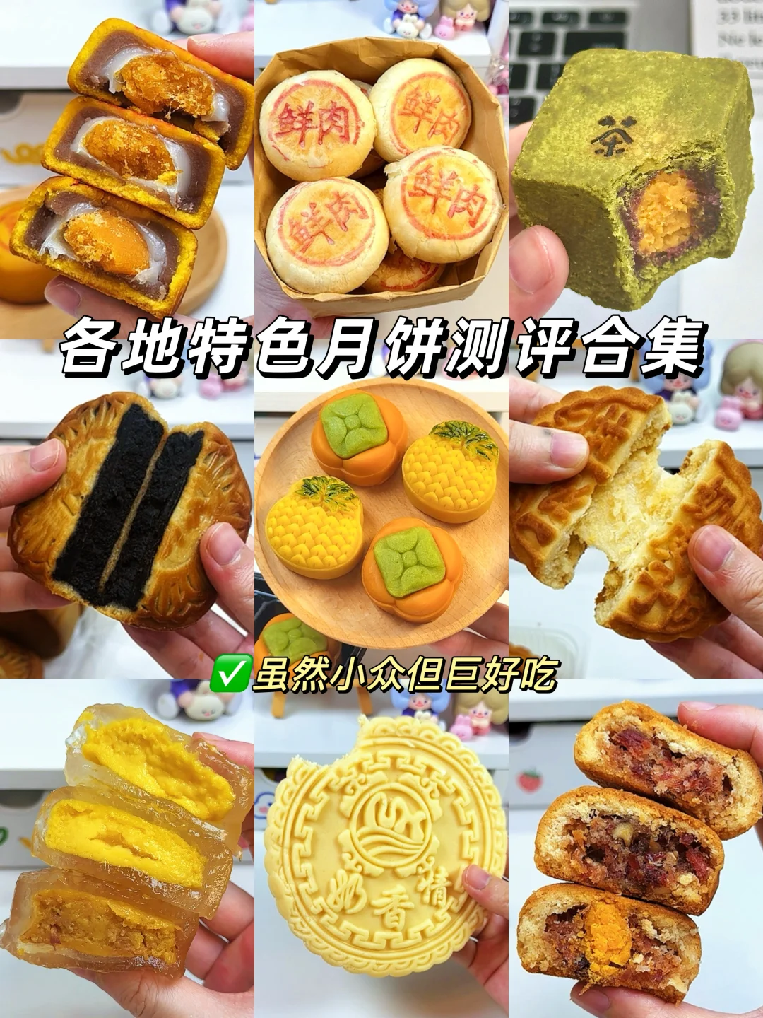 各地特色月饼大测评❗❗照着买不踩雷