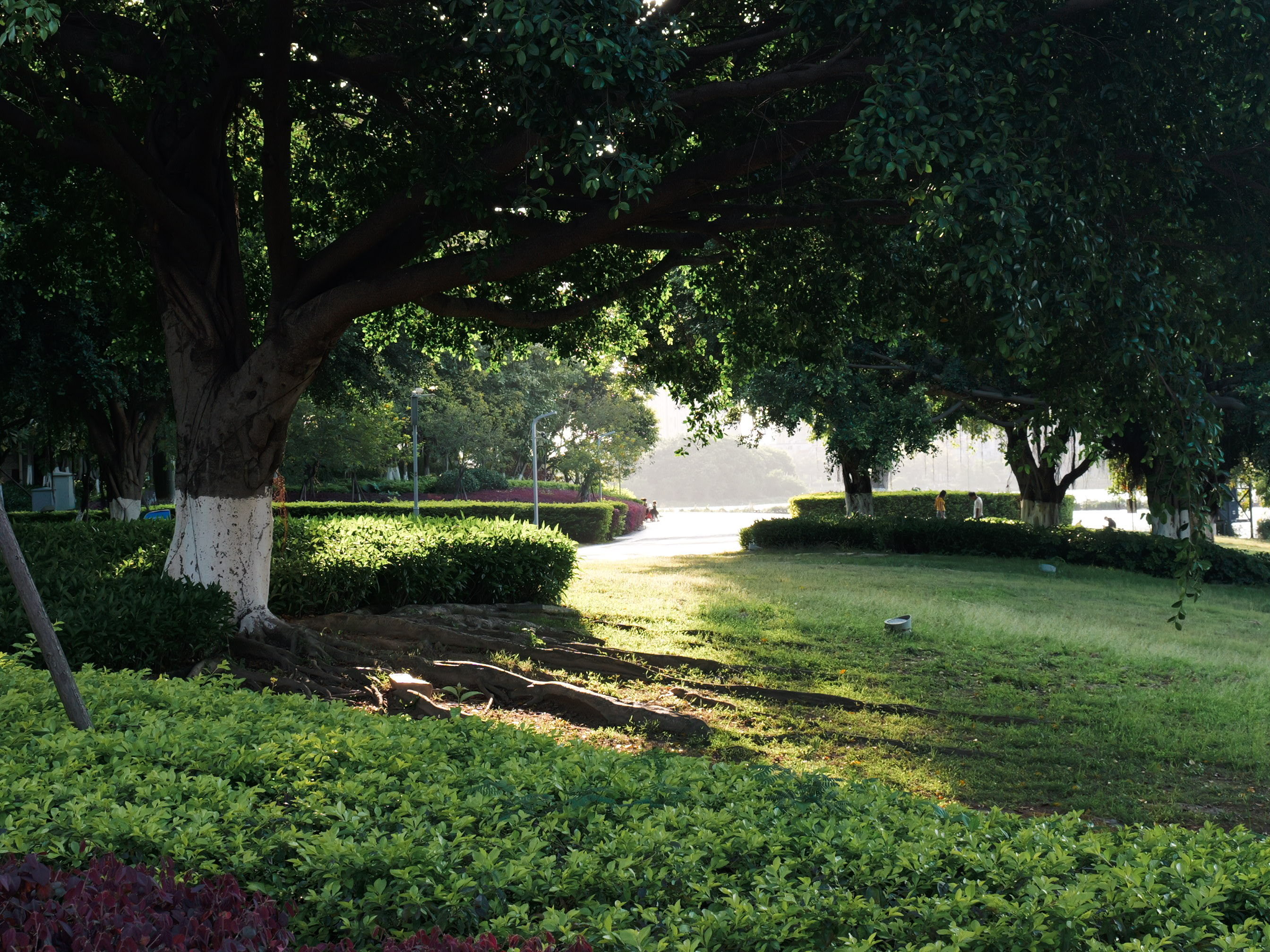 我们应该从光里走出来
