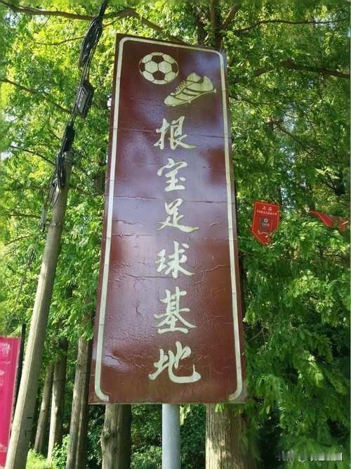 很多人疑惑：亚足联三星青训中心出炉，申花、浙江、鲁能上榜，青训摇篮崇明根宝基地为