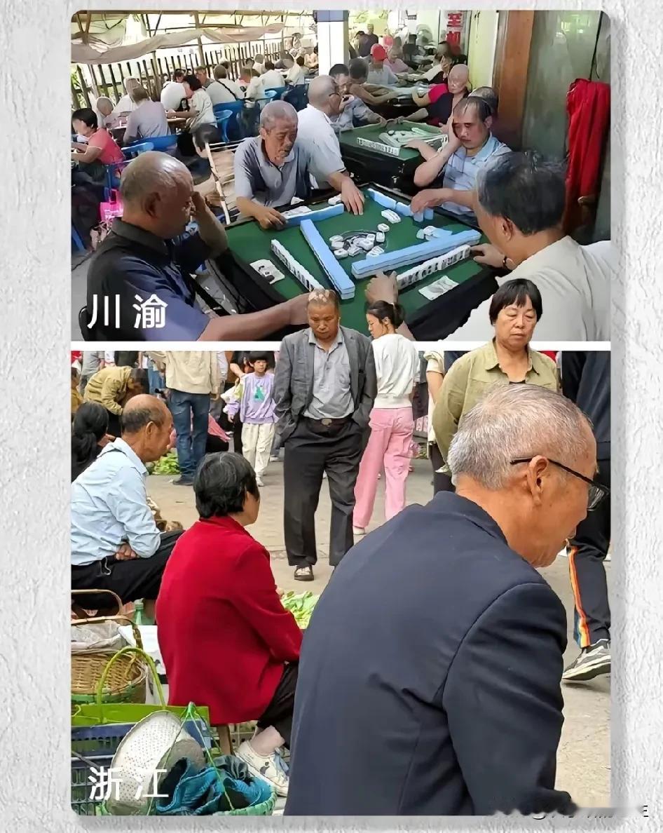 到底谁幸福？川渝的老人，打麻将喝茶；
江浙沪的老人，到处摆摊卖菜。[笑哭]